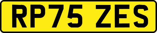 RP75ZES