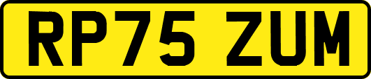 RP75ZUM