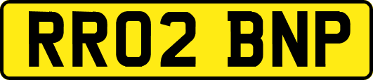 RR02BNP