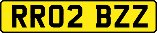 RR02BZZ
