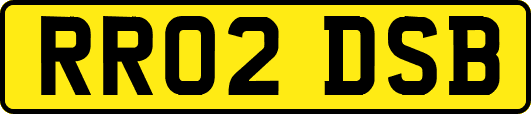 RR02DSB