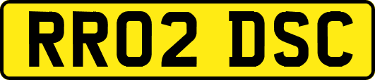RR02DSC