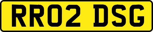 RR02DSG