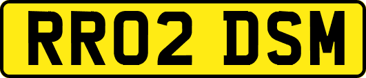 RR02DSM