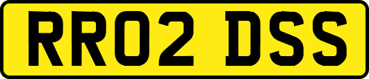 RR02DSS