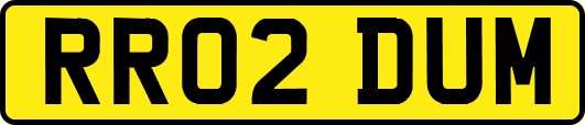 RR02DUM