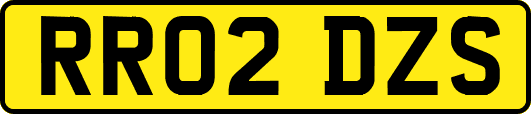 RR02DZS
