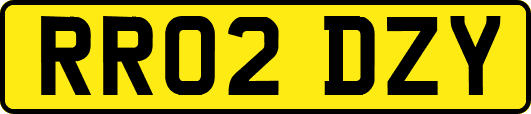RR02DZY