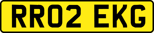 RR02EKG