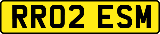 RR02ESM