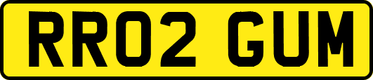 RR02GUM