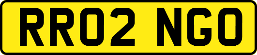 RR02NGO