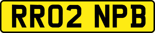 RR02NPB