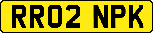 RR02NPK