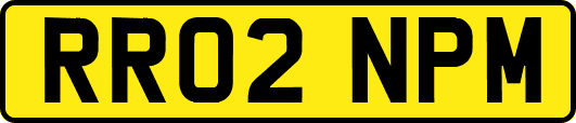 RR02NPM