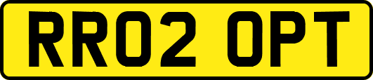 RR02OPT