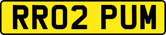 RR02PUM