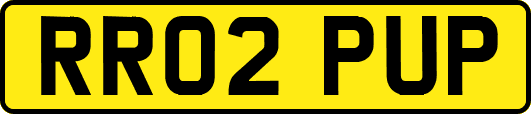 RR02PUP
