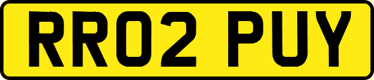 RR02PUY
