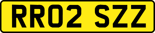 RR02SZZ