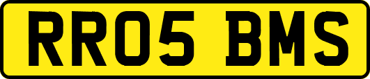 RR05BMS
