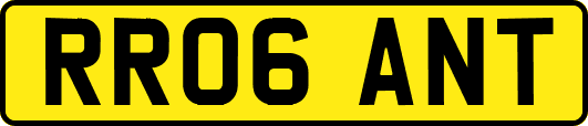 RR06ANT