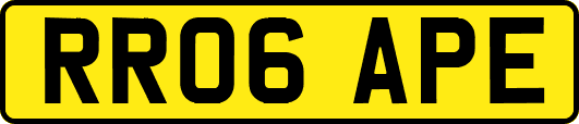 RR06APE