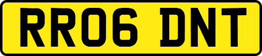RR06DNT