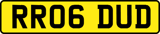 RR06DUD