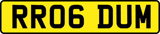 RR06DUM