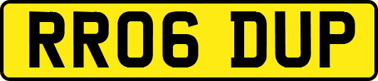 RR06DUP