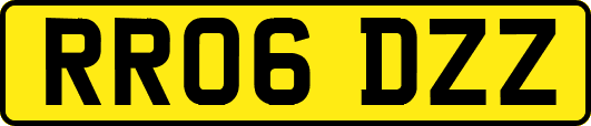 RR06DZZ