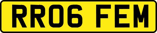 RR06FEM