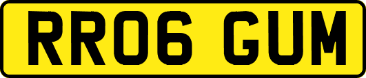 RR06GUM