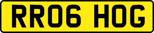 RR06HOG