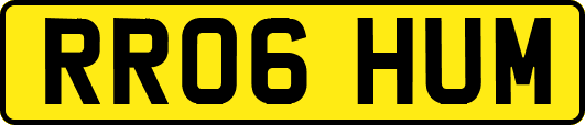 RR06HUM
