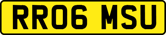 RR06MSU