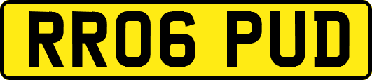 RR06PUD