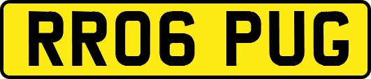 RR06PUG