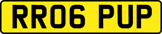 RR06PUP