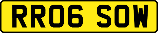 RR06SOW