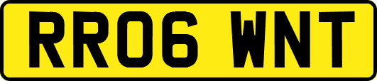 RR06WNT