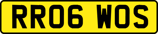 RR06WOS