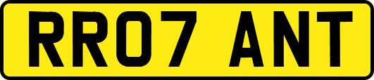 RR07ANT