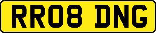RR08DNG