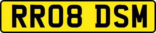 RR08DSM
