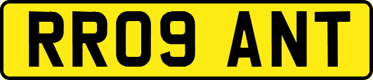 RR09ANT