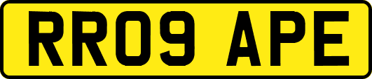RR09APE