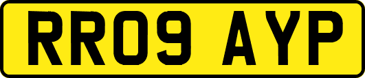 RR09AYP