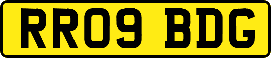 RR09BDG